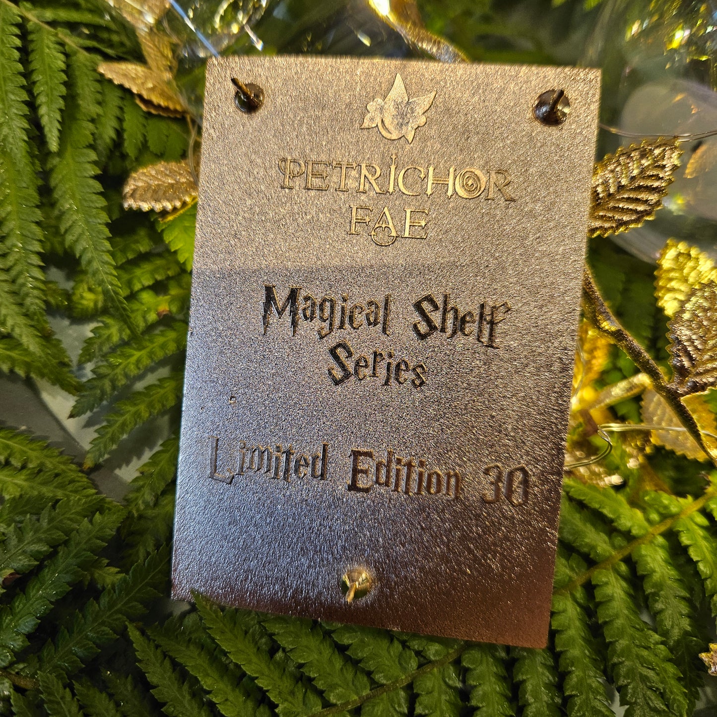 Magical Shelf #2