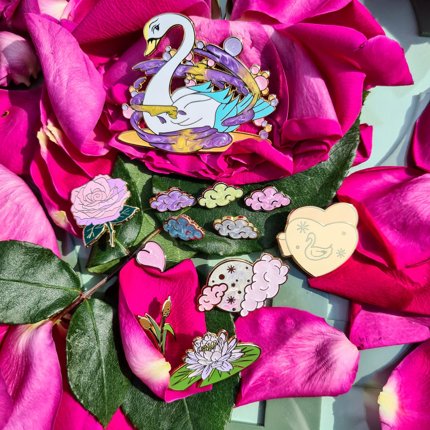 Swan Accessories