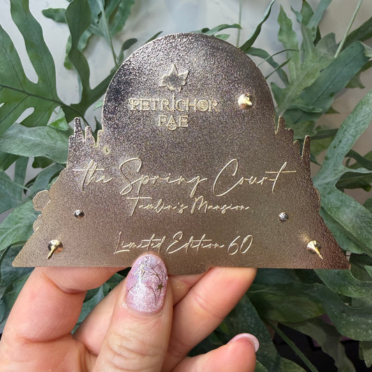 Balance Owed - Court Books