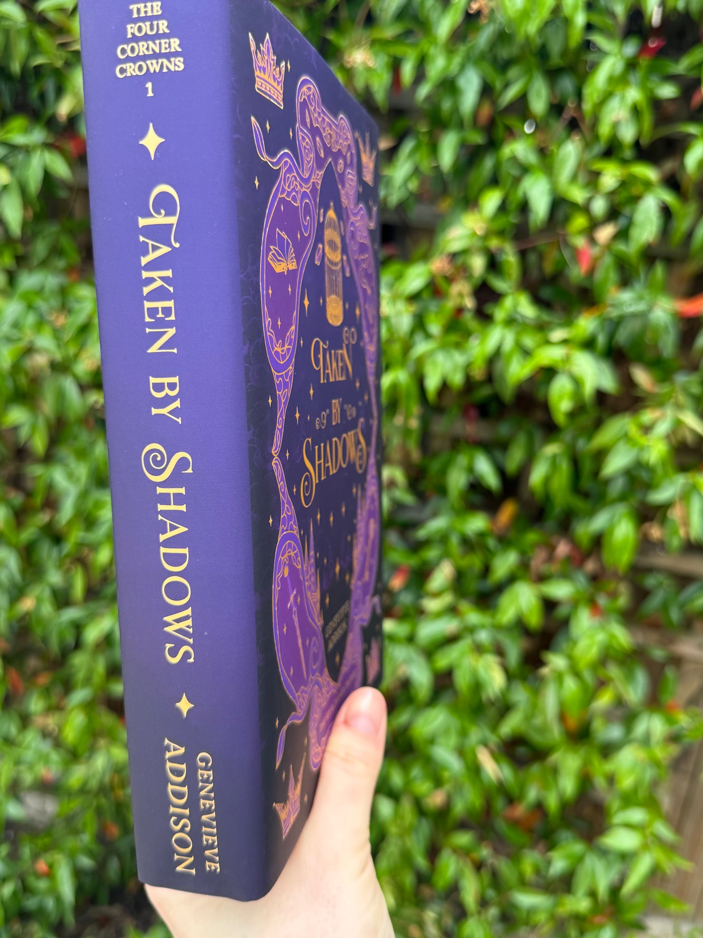 Taken by Shadows - Hardback Book