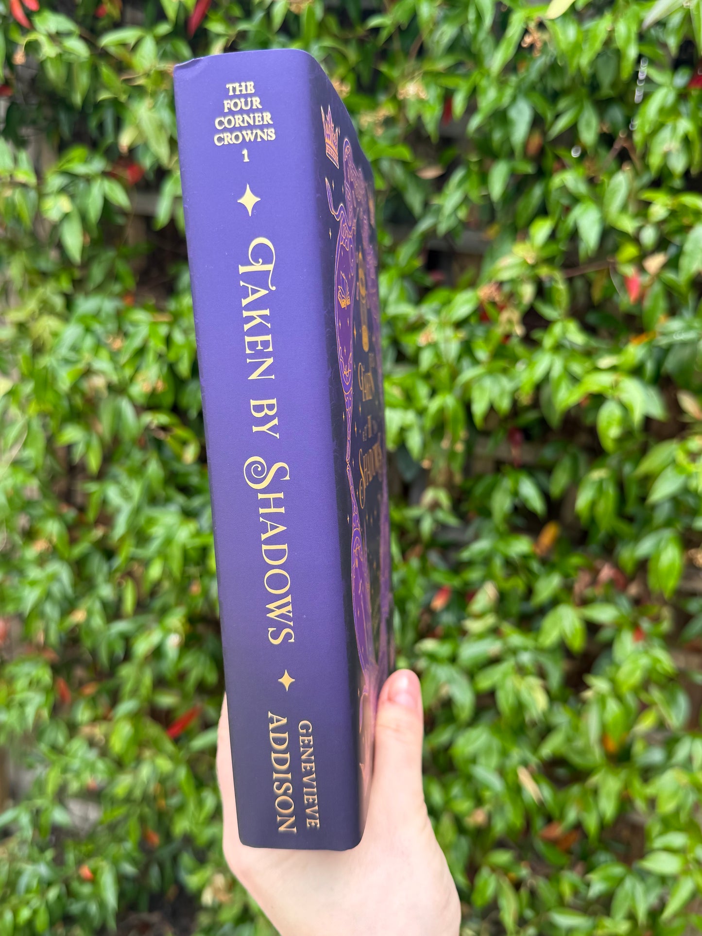 Taken by Shadows - Hardback Book