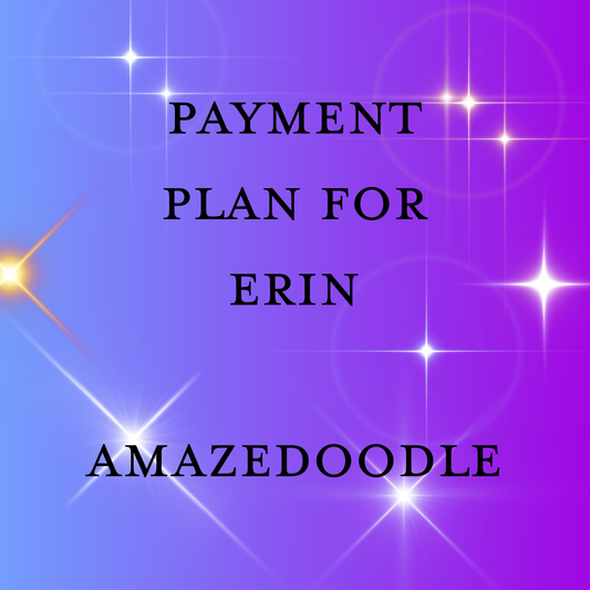 Payment Plan for Erin